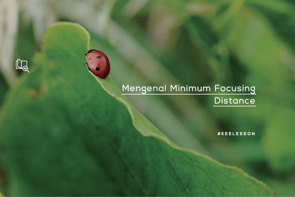 Mengenal Minimum Focusing Distance