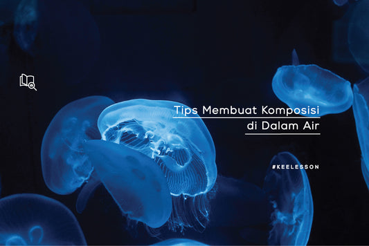 Tips Membuat Komposisi di Dalam Air