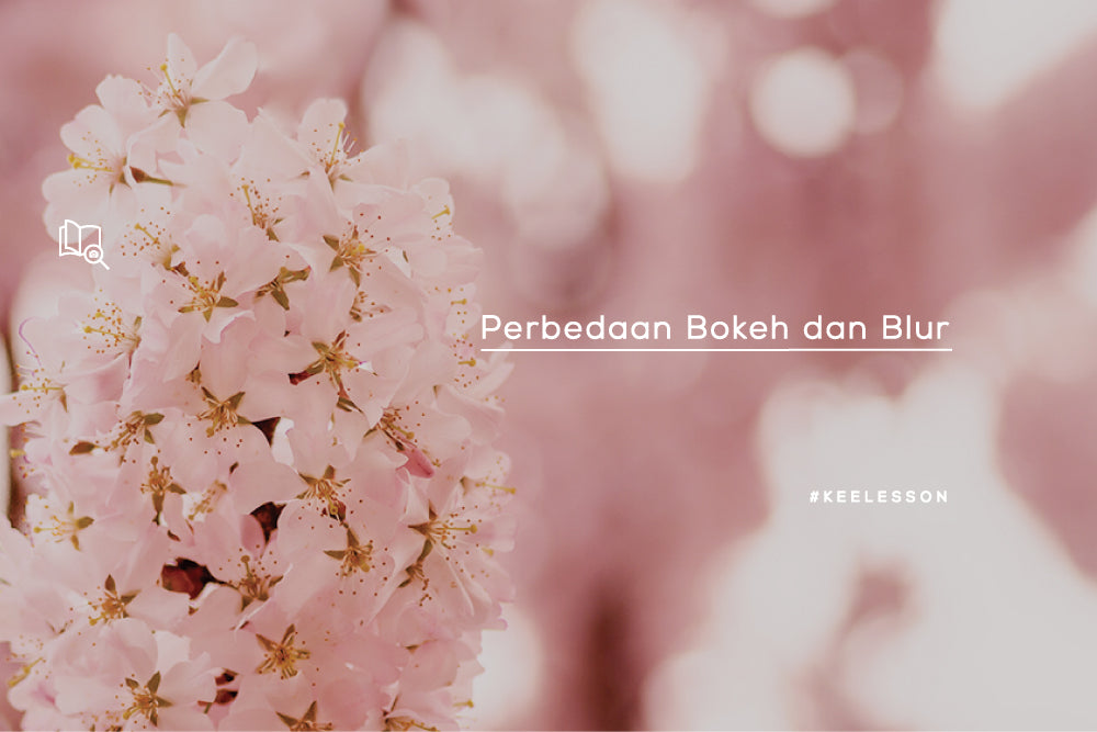 Perbedaan Bokeh dan Blur