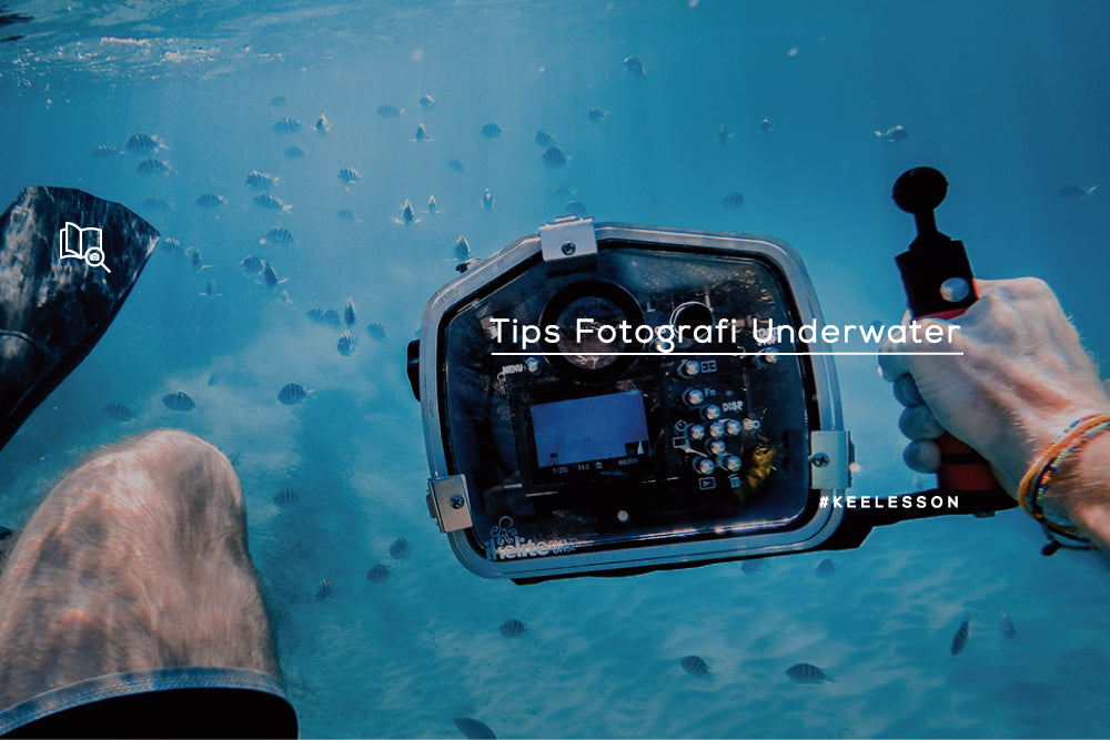 Tips Fotografi Underwater