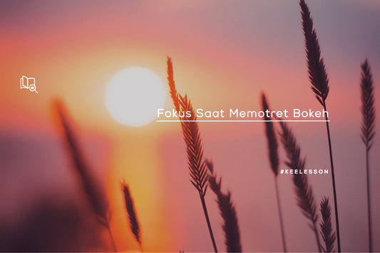 Fokus Saat Memotret Bokeh