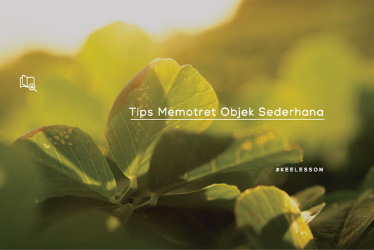 Tips Memotret Objek Sederhana