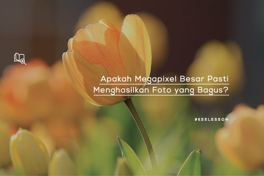 Apakah Megapixel Besar Pasti Menghasilkan Foto yang Bagus?